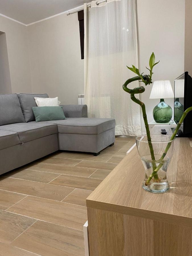 Apartamento Rural El Retablo Cetina Eksteriør billede